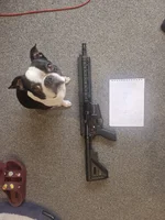 WhatsApp Image 2025-11-14 at 14.24.28_2b8c493a.webp