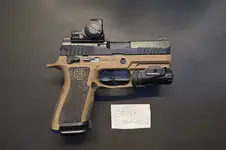 Custom Sig Sauer P320 X-Carry, Steel Barrel + internals, Romeo-X Green Dot, Dual tone