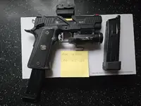 Emg salient arms 2011 ds 4.3.