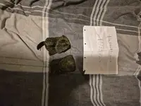 Russian army grenade and gp pouch