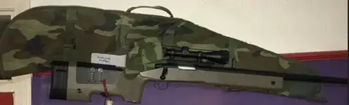 bolt action with scope