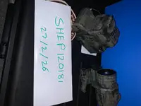 WADSN Replica Eotech and magnifier