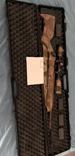 Modify ASG Steyer Scout