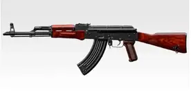 Marui AKM GBB or E & C AEG