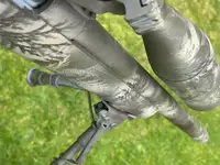 IMG_6357.webp