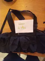 Arktis chest rig