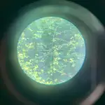 ACOG 3.webp