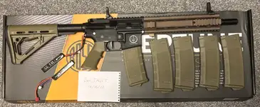 Rossi L119A2 AEG
