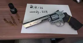 Dan wesson 6 inch co2 revolver
