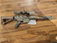 RAPAX XXI SR25 DMR