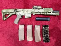 HAO MWS L119a2 (craighead)
