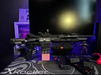 WE R5C V2 custom build w/steel internals + 4 Pmags