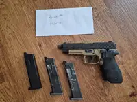 TM P226