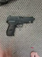 SIG
