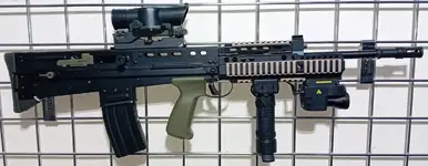 L85A1DD.webp