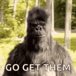 cool-you.gif