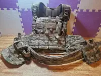 Warrior Assault Systems M4 Rig
