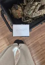 Selling in Suffolk Area: Gear: Plate Carrier, Peli Case, Helmet, Belt