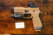 Custom P320 M18X Comp