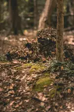 AMBUSH-14-6-26-224.webp