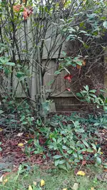 IMG_20261001_182721.webp