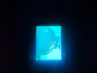 20261008_202609.webp