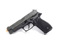 Parabellum P226 WTB