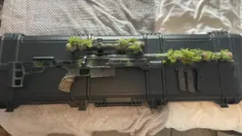 Custom VSR10 Platform