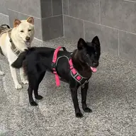 smallso