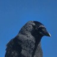 Raven98