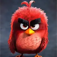 Angry Bird