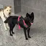 smallso