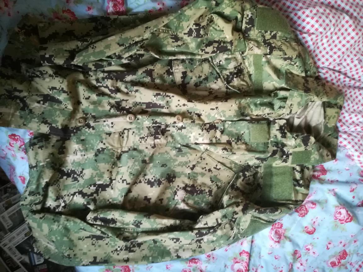Crye Precision NC AOR2 Field Shirt and Eagle Industries AOR2 charge pouches
