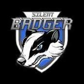 Silentbadger2