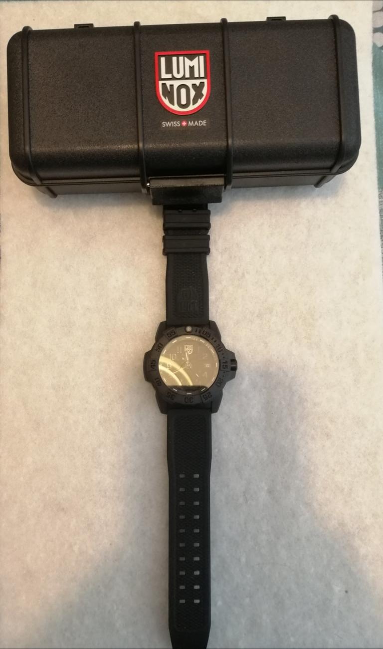 Fake luminox outlet watch