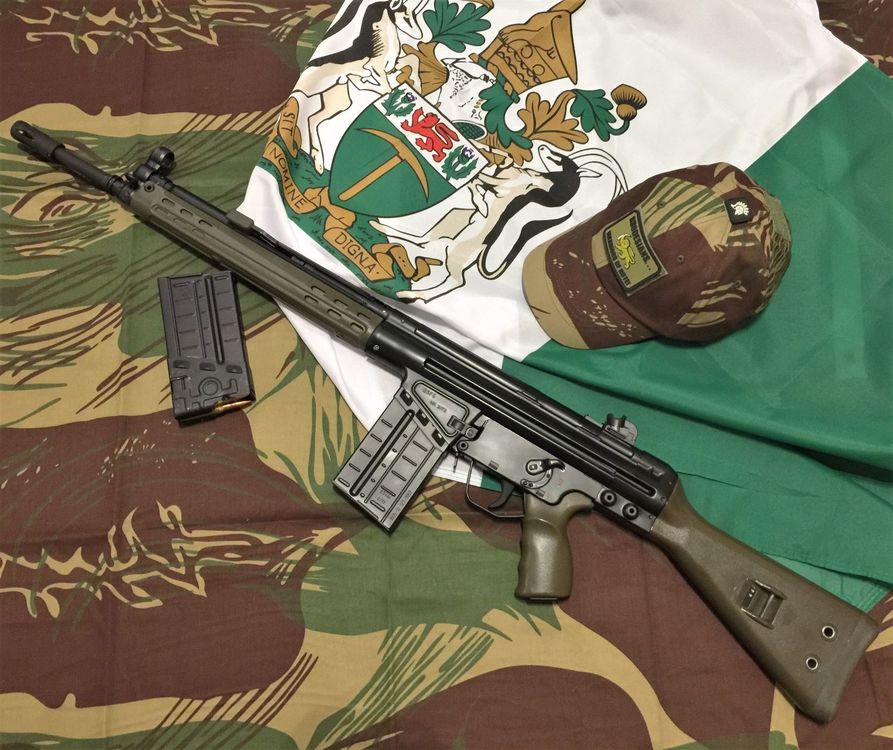 Rhodesian G3 Art (1).JPG