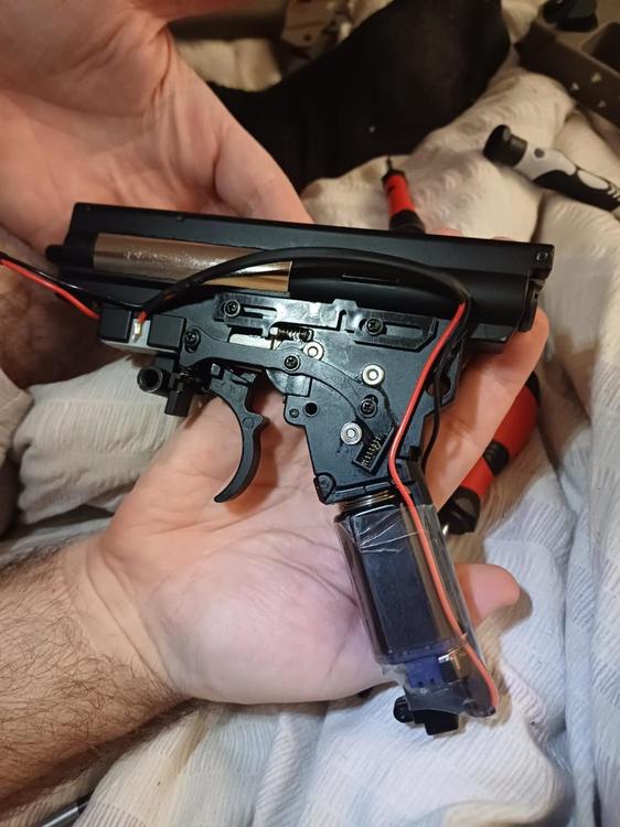 WhatsApp Image 2024-08-10 at 20.10.47 (1).jpeg