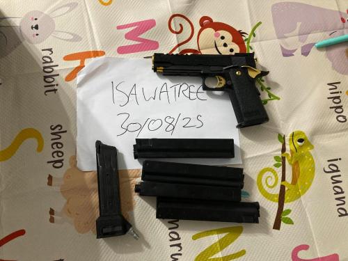 More information about "TM Hi Capa"