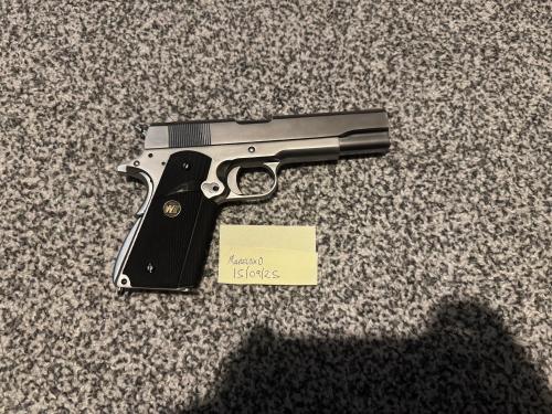 More information about "WE 1911"