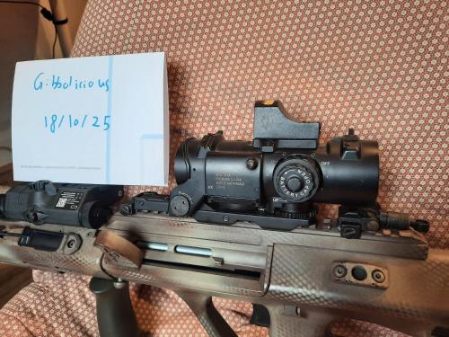 More information about "Elcan Spectre 4X with Docter Red Dot"