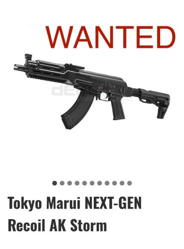 More information about "Wanted AK Storm"